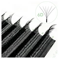 W-shaped 6D