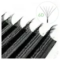W-shaped 6D