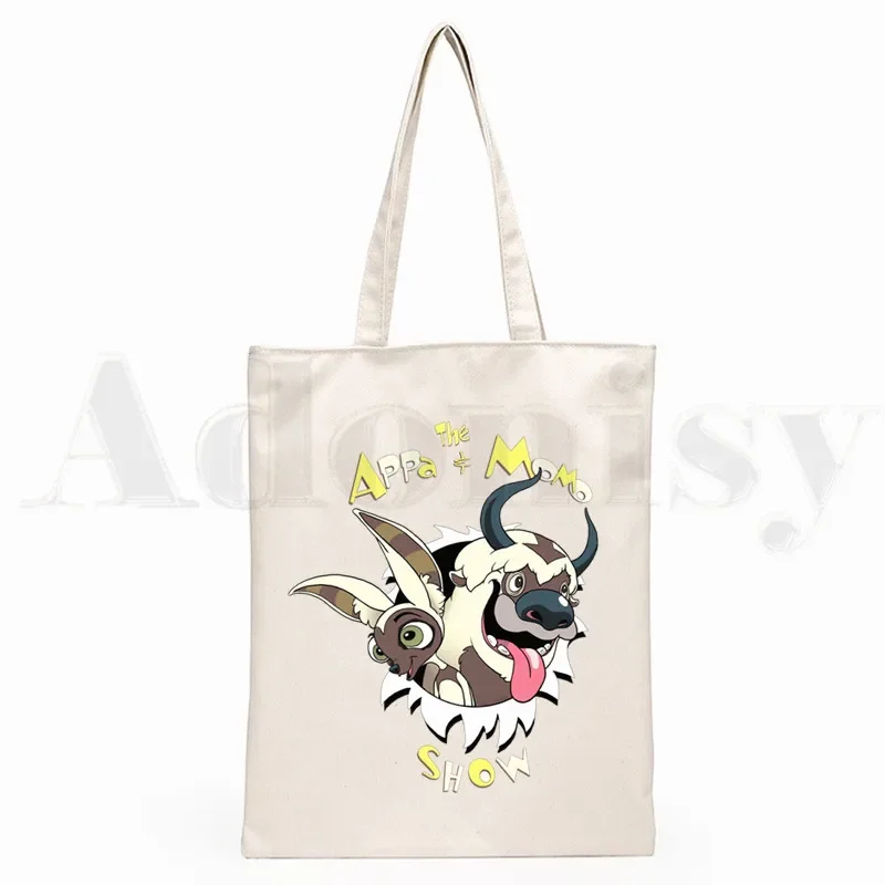 Avatar The Last Airbender Aang Appa Anime Badass New Art Canvas Bag Totes Simple Print Shopping Bags Girls Life Casual Pacakge