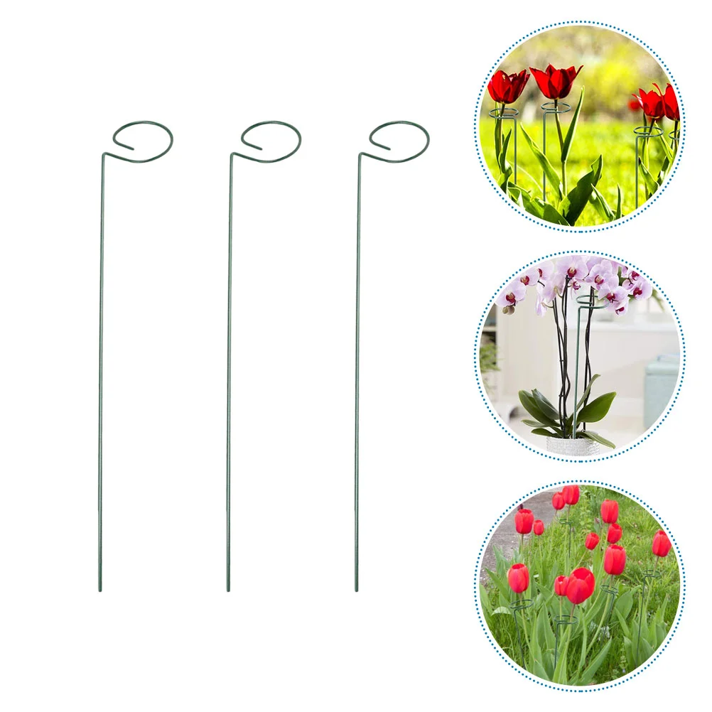 

3pcs Practical Plant Racks Green Plants Climbing Racks Iron Crafts Durable Racks