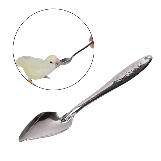 1PC 10/20ml Parrot Feeding Syringe Hose Parrots Bird Feeders Syringe High Quality Bird Feeder Balcony Syringe Hose Needle 4