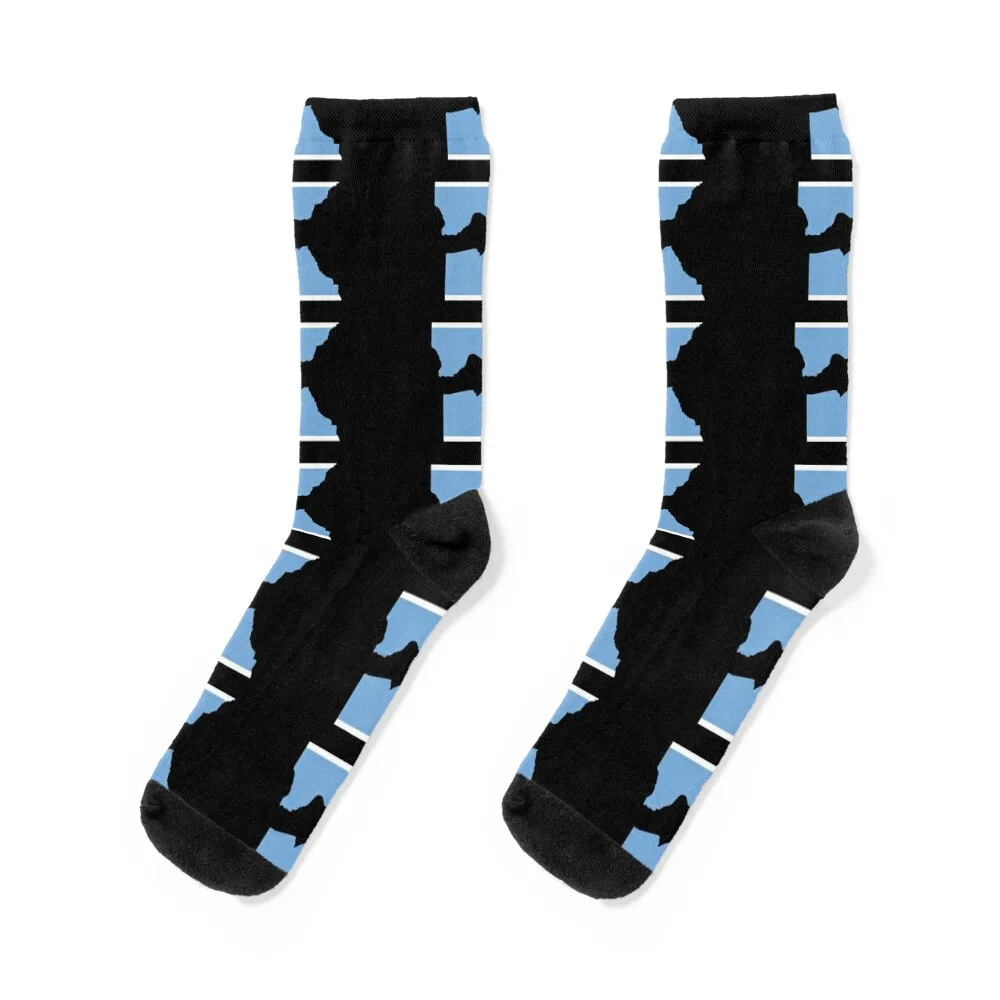 Flag Map of Botswana Socks Socks set FASHION warm winter socks Socks For Girls Men's