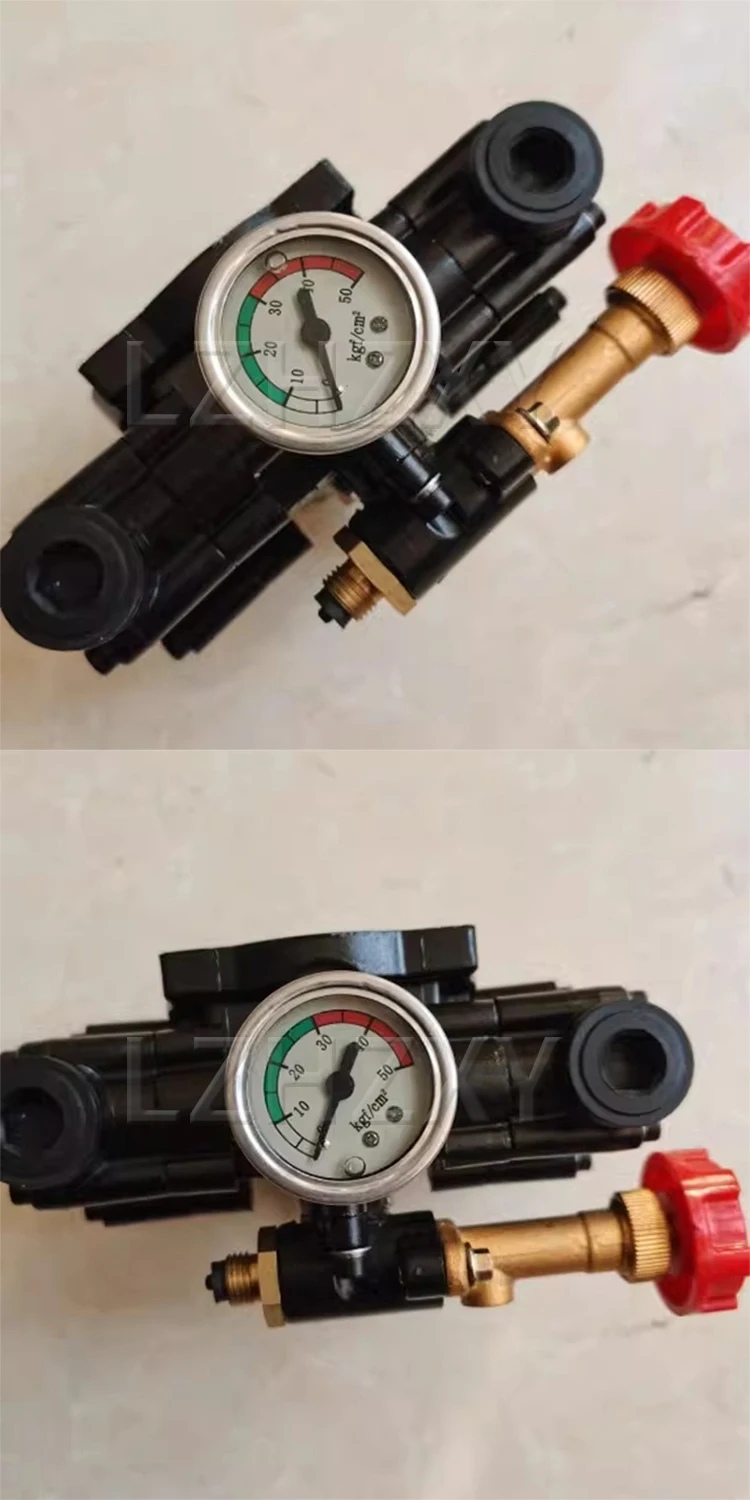 Twin-Cylinder Plunger Pump Head Assembly; Column-Type Pump Head; Pump Head for S