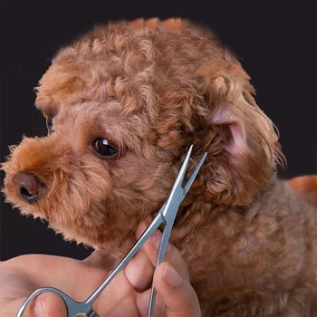 Juego de Herramientas hemostáticas para pelo de oreja de , Kit de aseo con desplumador de pelo y pinzas de Control de sangrado