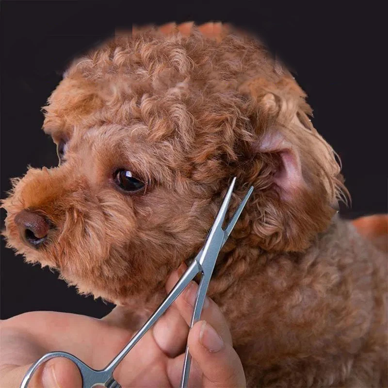 PetDogEarHairHemostatToolSetGroomingKitWithHairPluckingAnd