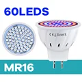 MR16-60Leds