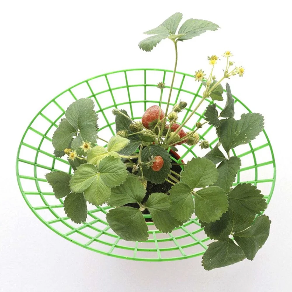 20PCS Strawberry Plant Support Stand Strawberry Growing Racks Protector Growing Frame Racks Holder Cage for Garden