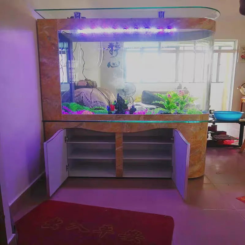 맞춤형 대형 타원형 유리 수족관 친환경 LED 조명, 플러그인 전원 공급 장치 포함, 침실 및 거실용 충전식