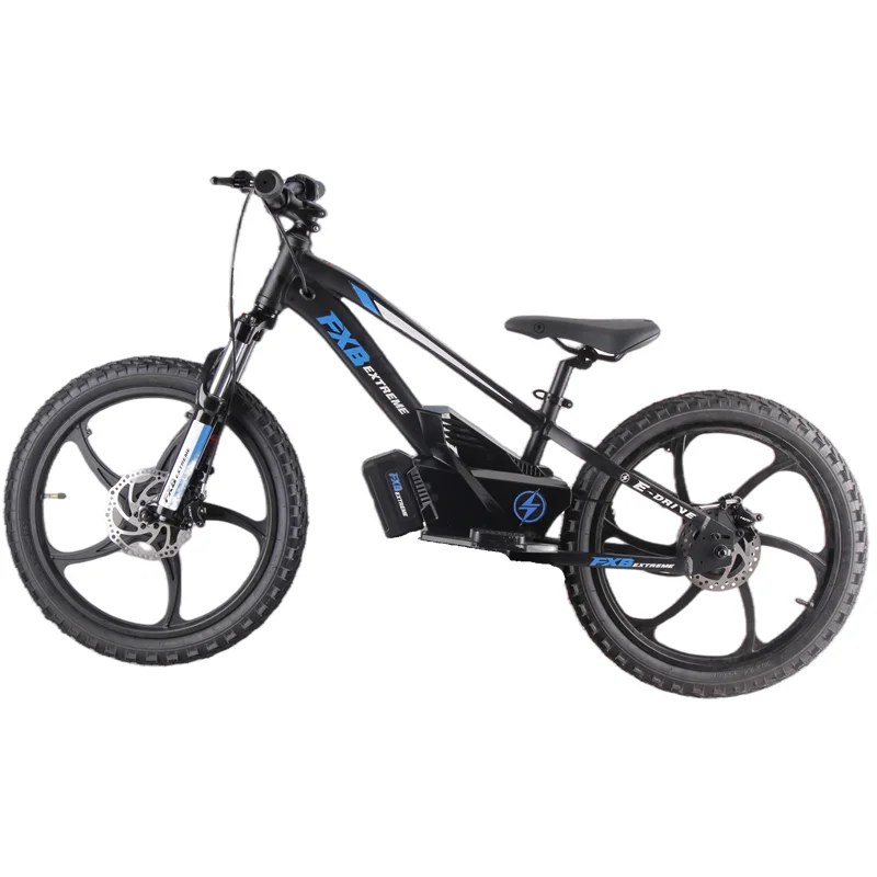 Popular 20inch Kids Ebike, Kids Electric Balance Bike For Child, Electric Bicycle For Kidscustom