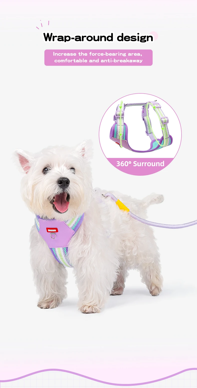 Color Block Harness For Small Dogs Breathable Mesh Pet Walking Lead_voghion.com