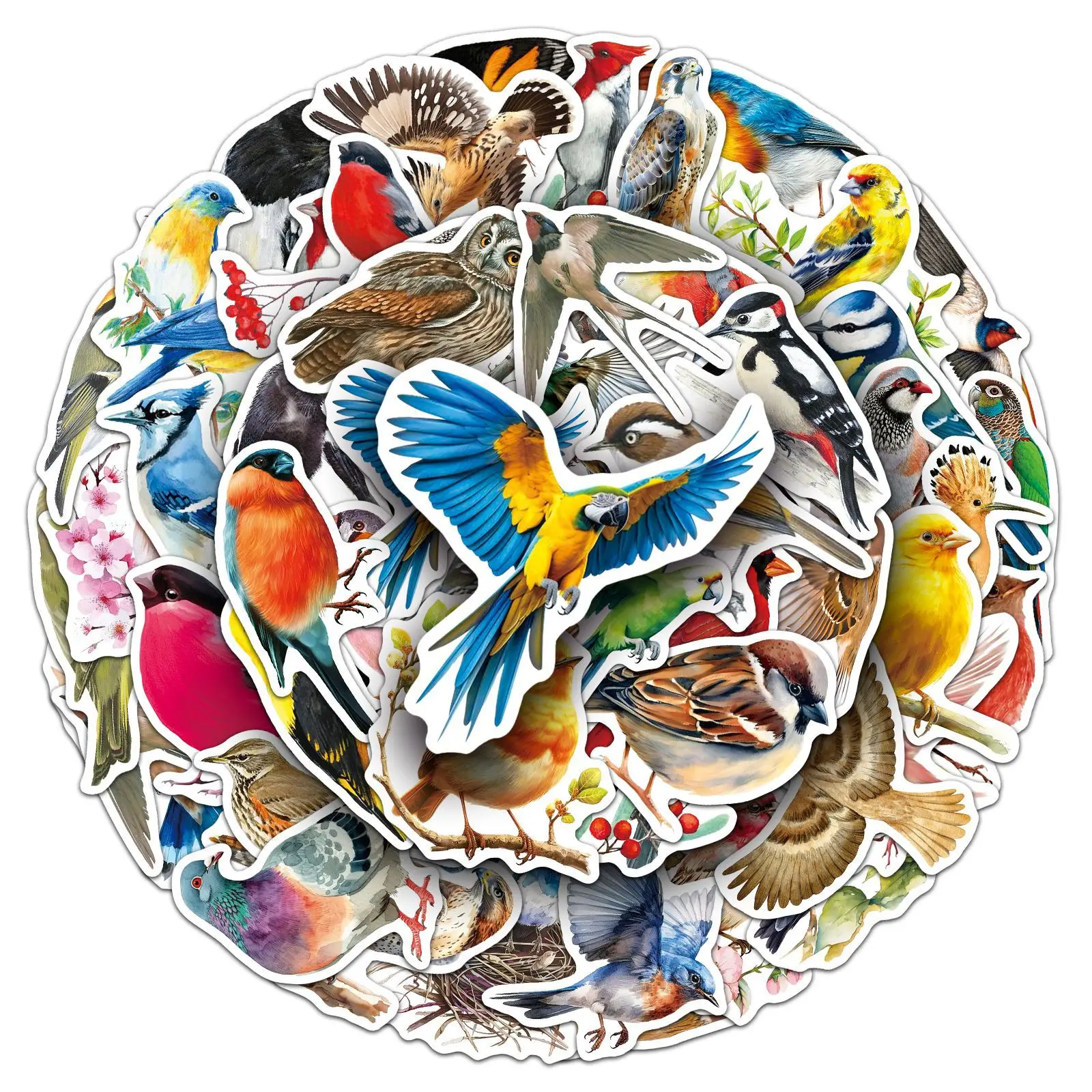 50 PCS 다채로운 새 동물 학습 방수 스티커 공예 활동 전화 케이스 스크랩북 노트북 DIY 장식