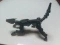 Black dog