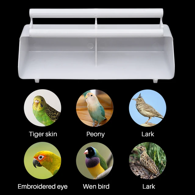 Bol de nourriture et d eau pour oiseaux 2 en 1 double tasse d alimentation Cage