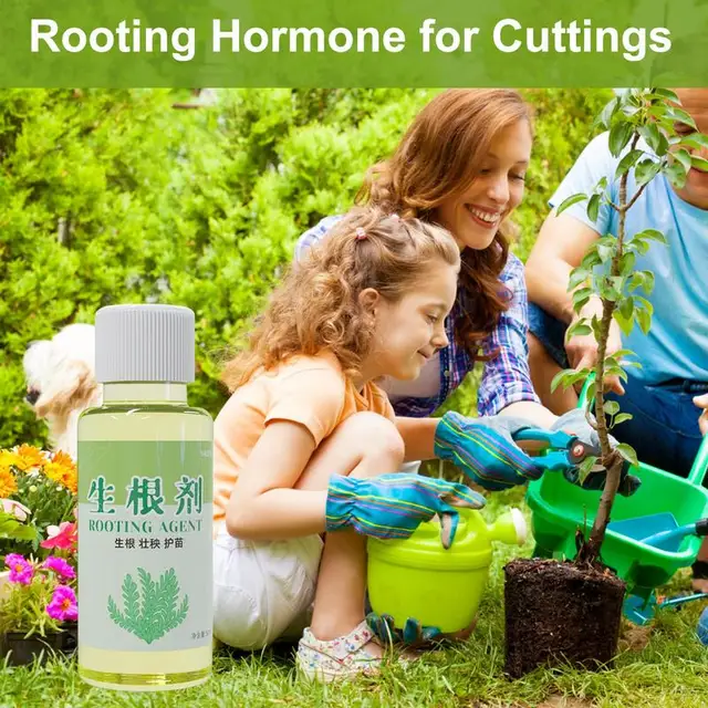 50 Ml Nagyteljesítményű Gyökérnövekedés Széles Körben Használható Gyökérnövekedési Hormonok Folyékony Gyökér Stimulátor A Transzplantációkhoz Fák Housnövények - Image 5