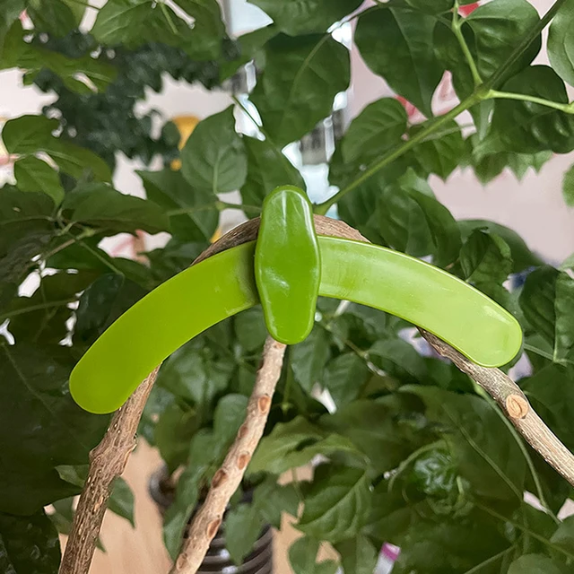 10/20 db 90 Fokos Növényi Hajlító Növekedési Manipulációs Eszközök Növények Vezérlő Állítható Ágak Rögzítő Újrahasznosítható - Image 2