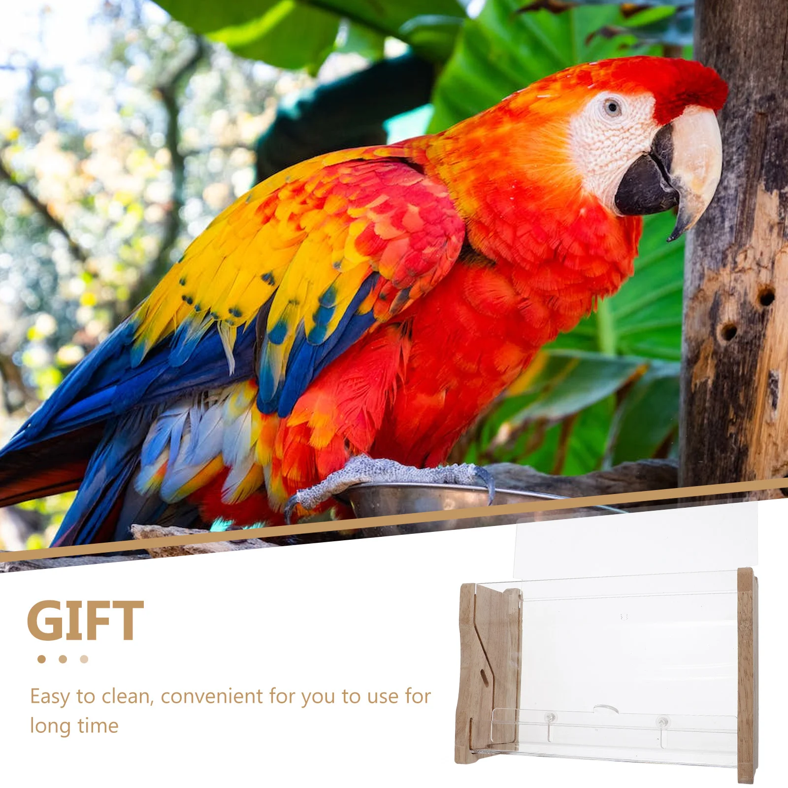 Rutin Chicken Feeder Food Container Bowl Automatic The Bird's Nest Pet Feeding Case Acrylic Clear