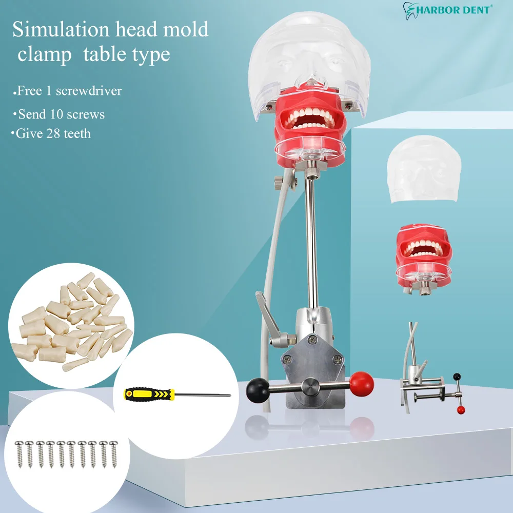 manequim-fantasma-com-dentes-para-dentista-simulador-dental-ensino-do-dentista-pratica-treinamento-pesquisa-equipamentos-de-odontologia