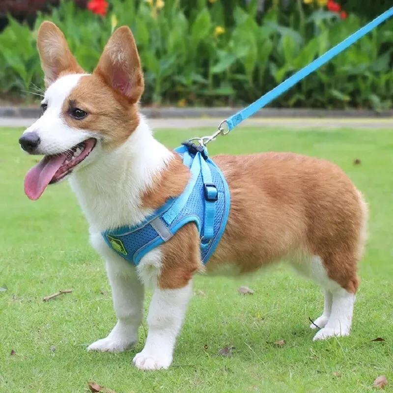 Reflective Dog Harness and Leash Set for Dogs 6