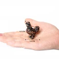 Polish chicken-4