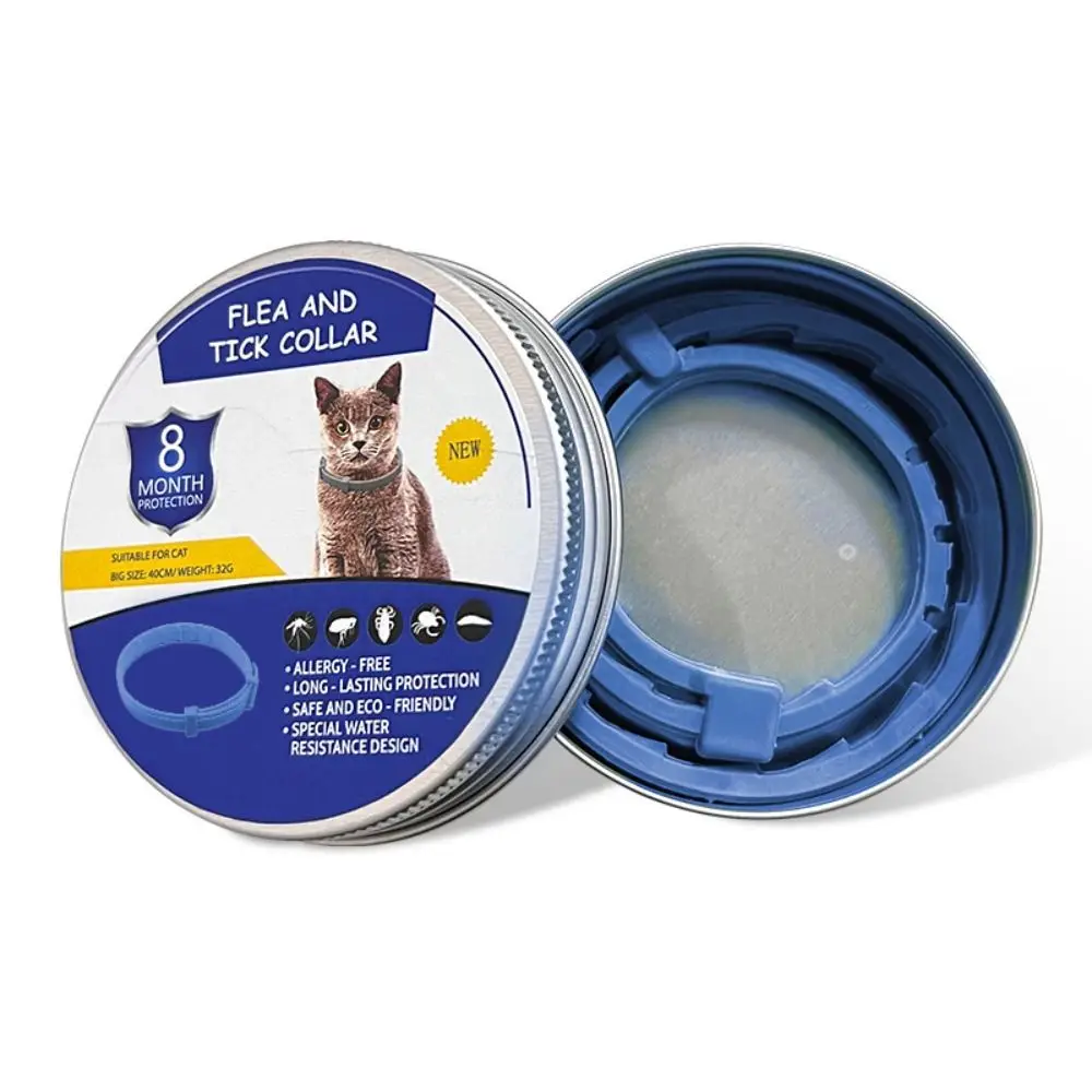 Cat Blue
