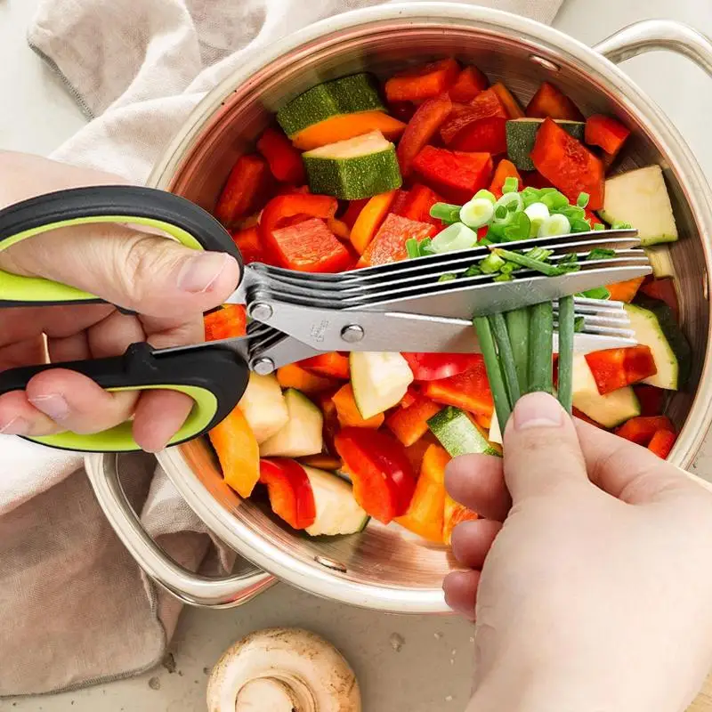 https://ae01.alicdn.com/kf/S76c52b80629e47a6b3bd6ad74c8a938eo/Multi-Layer-Kitchen-Scissors-5-Layers-Stainless-Vegetable-Cutter-Herb-Cutting-Shears-With-Safety-Cover-Meat.jpg