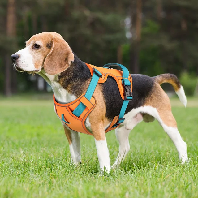 Mesh Breathable Dog Harness Nylon Reflective Dog Harnesses Vest Durable Pet Training Vest Adjustable for Small Medium Large Dogs 6