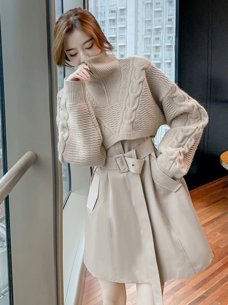 

Autumn and Winter Knitted Women's High Neck Pullover Sweater V-Neck Tank Top Dress Women's Two Piece Set