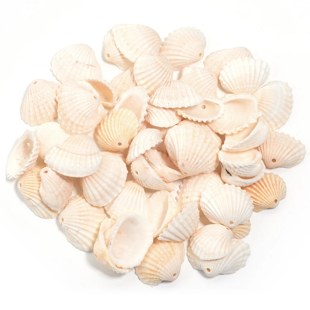 30/40/50g Natürliche Meer Blume Schnecke Shell Perlen Lose Spacer Perlen DIY Schmuck Armband Anhänger Phoen schlüssel Tasche Kette Zubehör – Detail 8