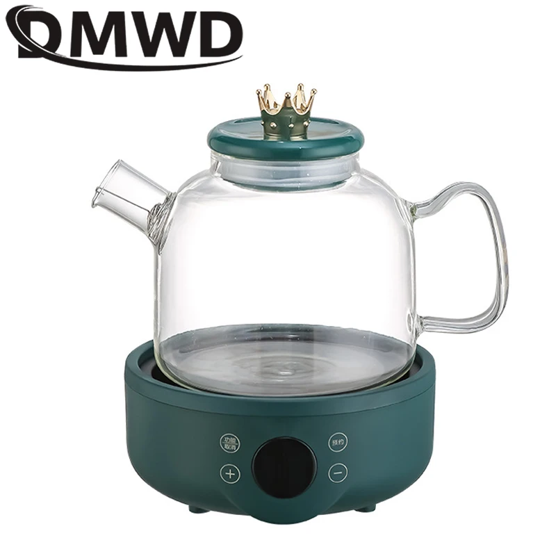 Dmwd 110V Multifunzione Elettrico Conservazione Salute Bollitore Teiera Vetro Acqua Calda Riscaldamento Caldaia Fiore Termico Teiera Filtro