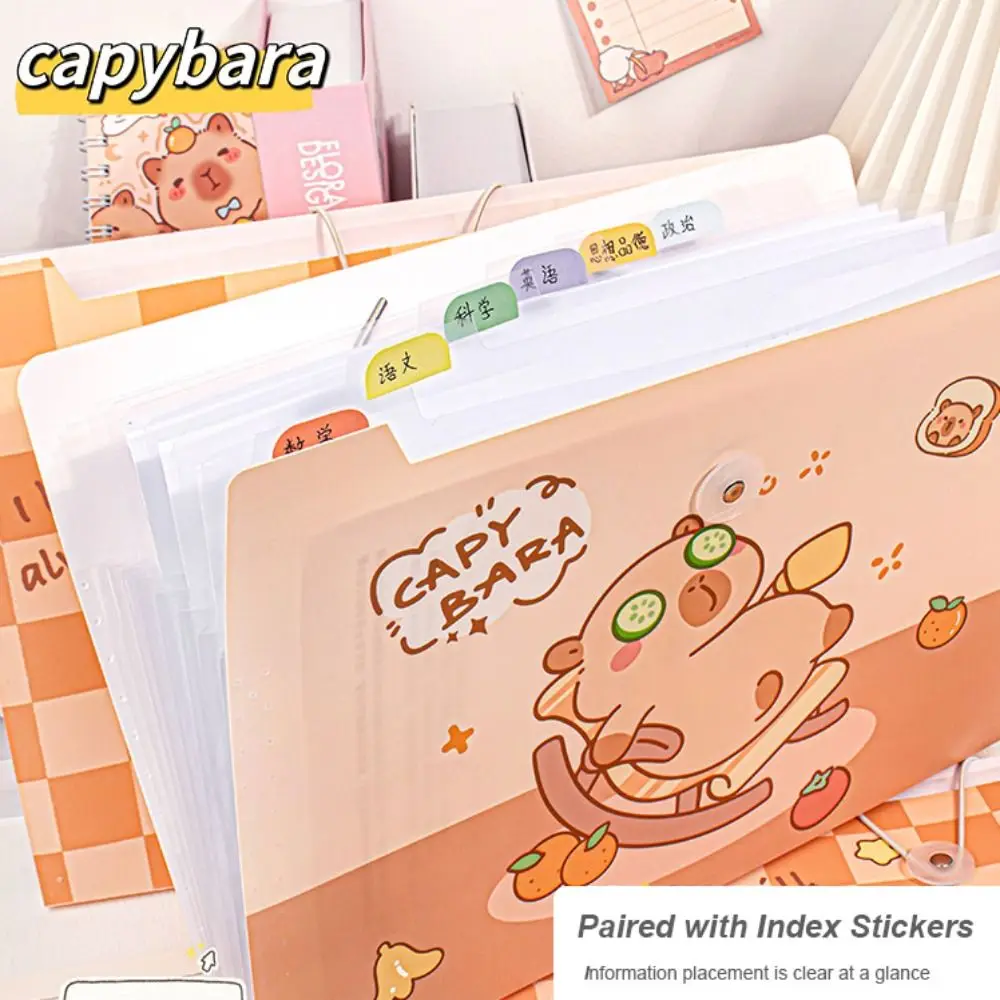 File Folder A4 8/12 Pockets Test Paper Storage Waterproof Classified Large Capacity Portfolio Organizer