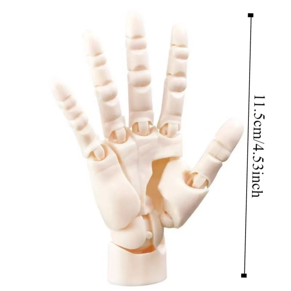 Plastic Hand Joint Movable Model Biomimetic Manikin Hand Simulation Hand Action Figure Mannequin Collectible Anime Hand Model