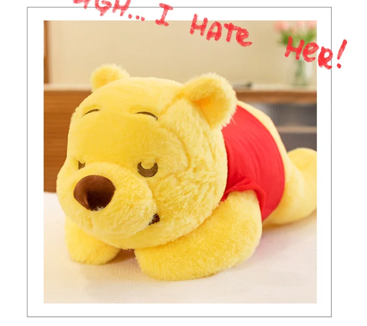 S76ce7f080c89428d9496349869e1ae61Z - Winnie The Pooh Plush