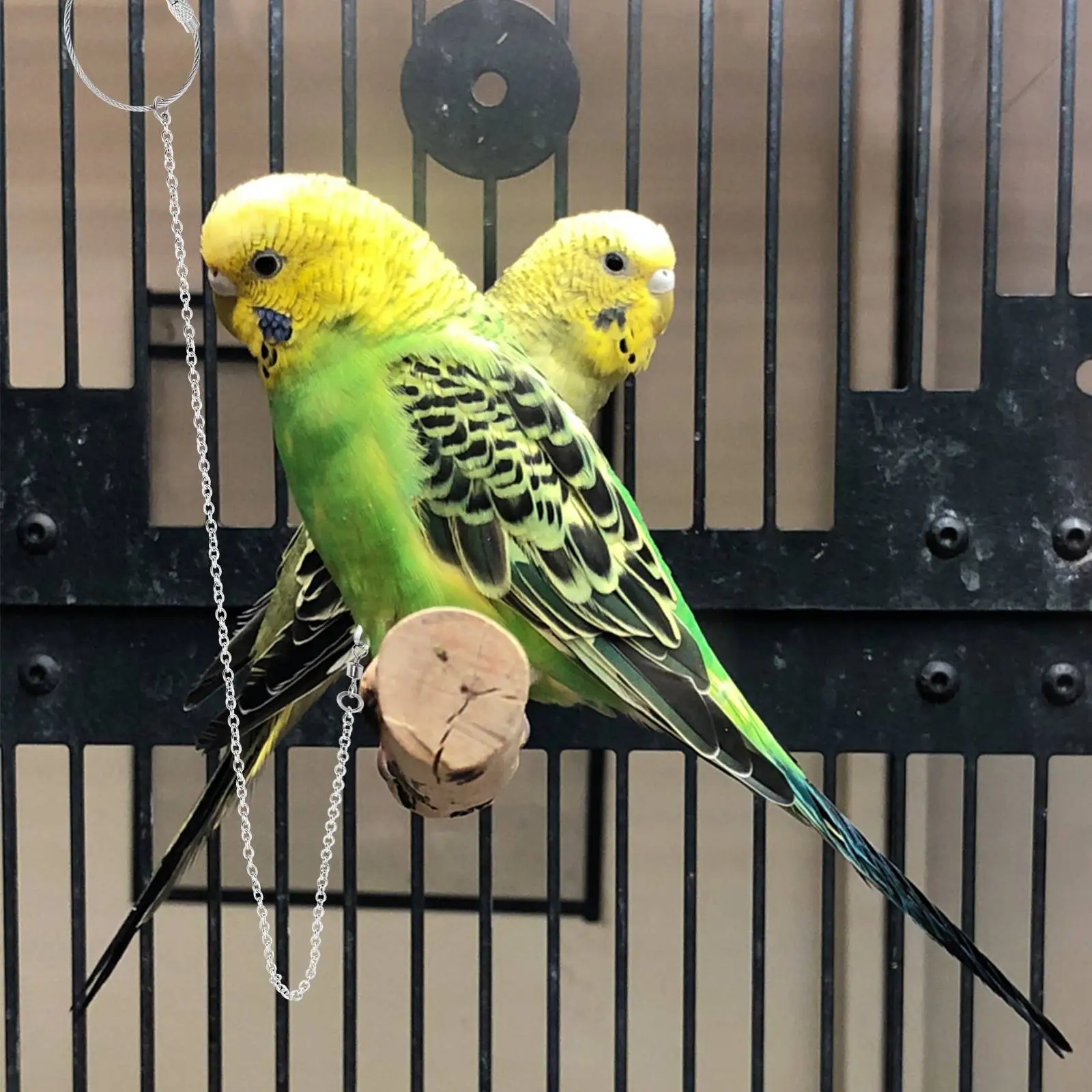 Stainless Steel Bird Chain Parrot Foot Lightweight Rust Resistant Swivel Buckle Parakeet Leash Cockatiel