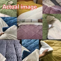 New Super Thickened Warm Winter Blankets for Beds Artificial Lamb Cashmere Weighted Blankets Soft Fluffy Warmth Comforter Duvet 2