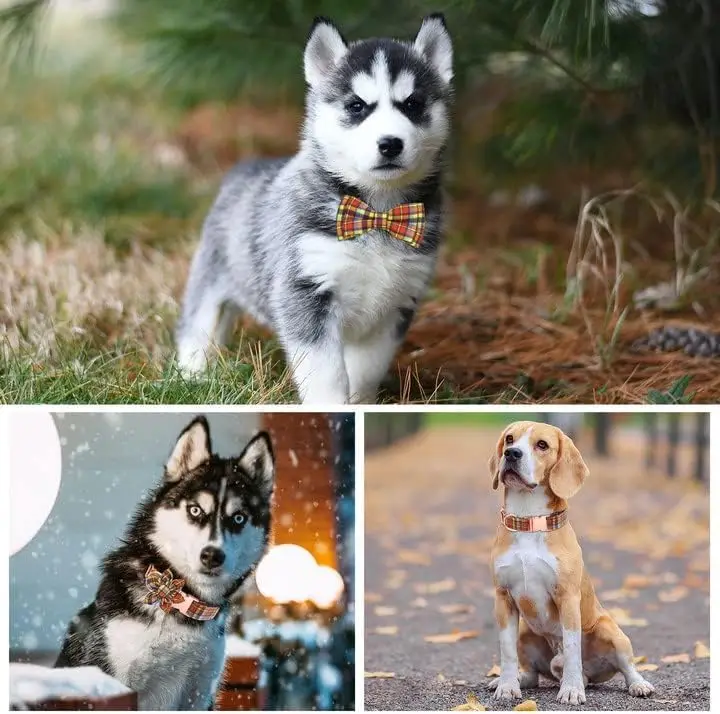 Plaid Dog Collar & Leash Set with Bow Tie – Adjustable Cute Puppy Collar with Durable Metal Buckle