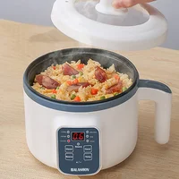 Mini Rice Cooker Household HotPot Multifunctional Rice Cooker with Steamer Single/Double Layer Non-Stick Electric Cooker EU Plug 1