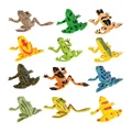 NO. 3  Frog set