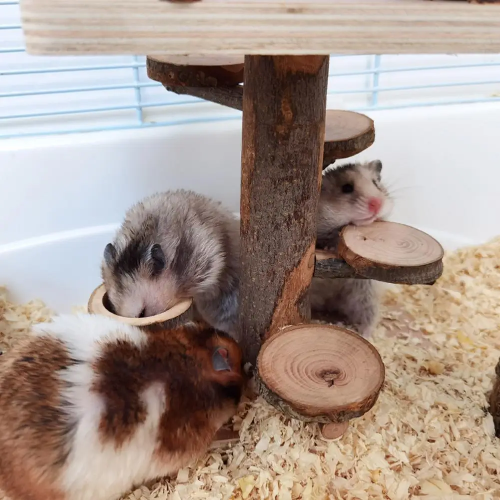 Eco-friendly Chinchilla Stand Natural Wood Cage Accessories Small Animal Toy Pet Toy Rat Climbing
