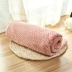 Cozy Fleece Pet Blanket - Ultra-Soft Plush Throw - S 60X40CM (Leather Pink)