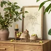 Wabi-sabi Japanese Style Nordic Wooden Fruit Tray Snack High-footed Plate Handcraft Kitchen Tool Display Plate Decor Flower Pot 4