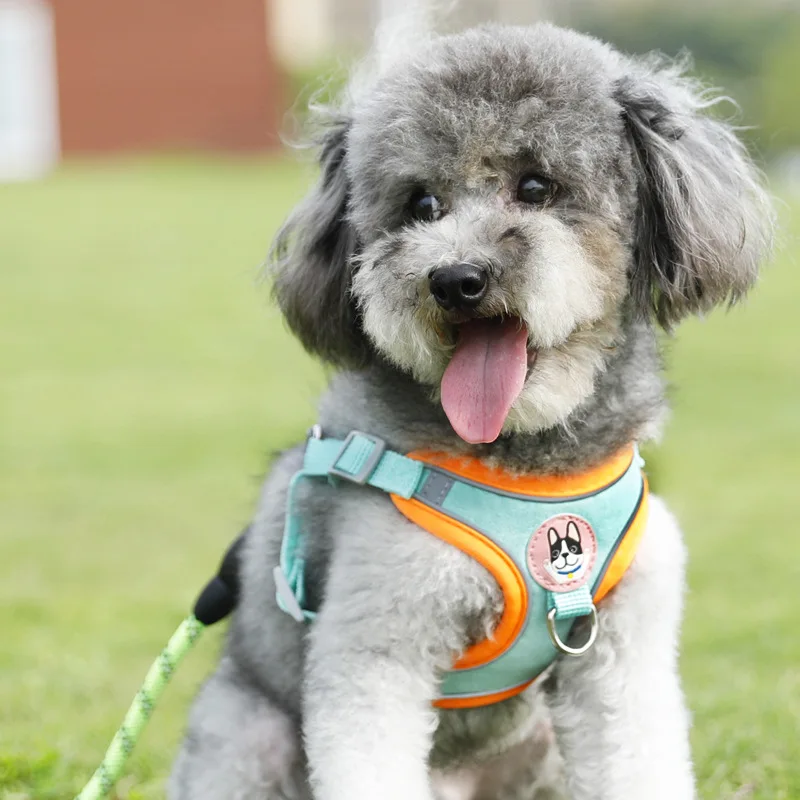Adjustable Dog Harness and Leash Set - Breathable Pet Walking Accessory