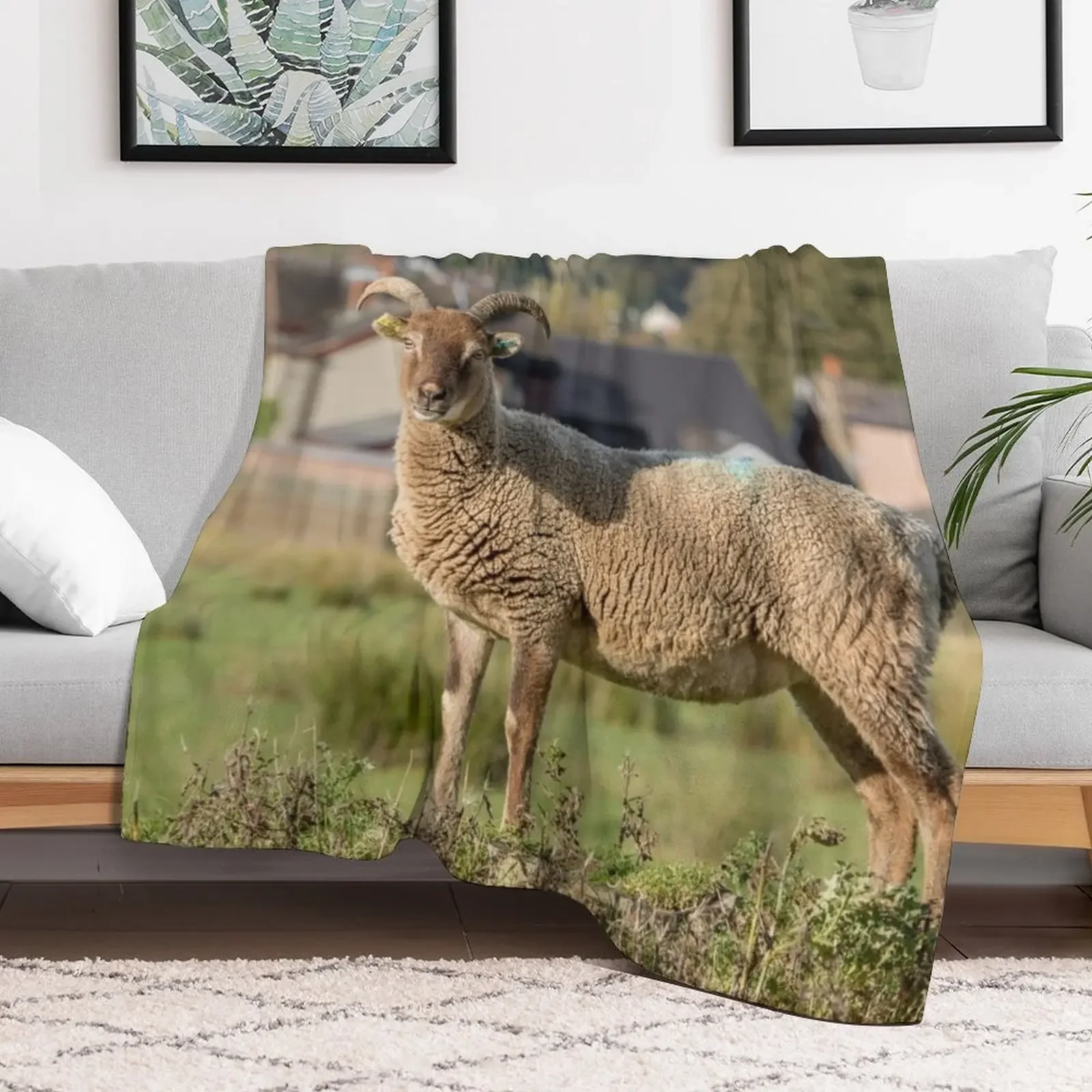 �� �� ���� ������ ���, ���Ÿ� ����Ʈ ��Ƽ�� �ö��� ķ�� ���