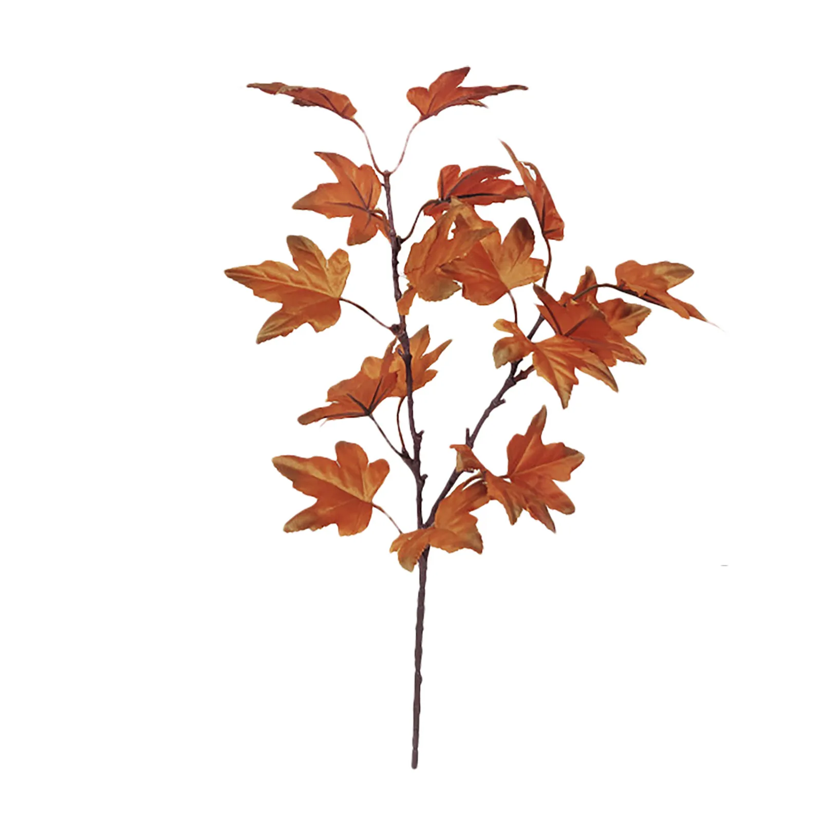 Fall Stems S76dad3160bfa4084852f85d64f3fffbfD.jpg