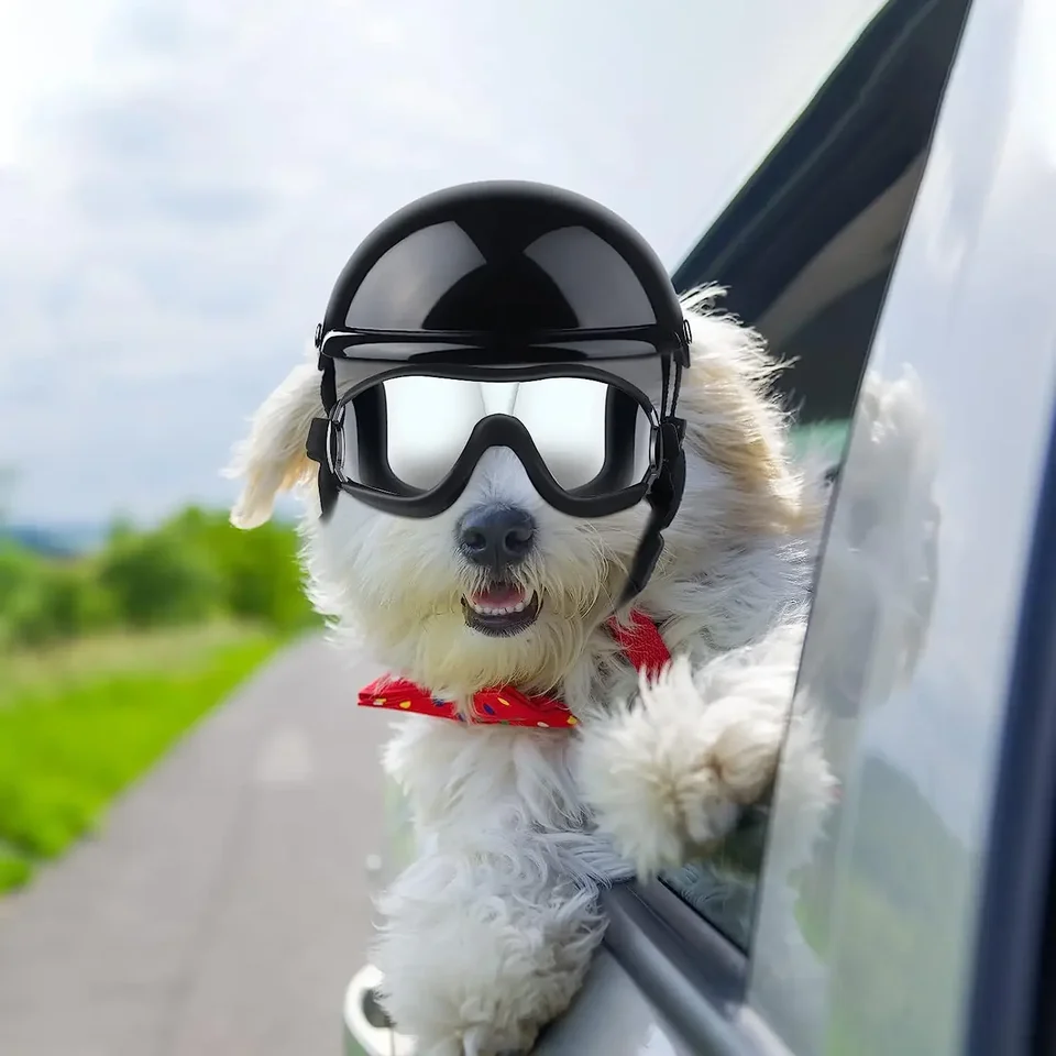 german shepherd motorcycle helmet Mayhem Style by Micro DOT from MicroDOT Helmet Co Everywhere You Ride Wearing This Dog Helmet Cover Youll Brighten Peoples Day Suit up and ride! How