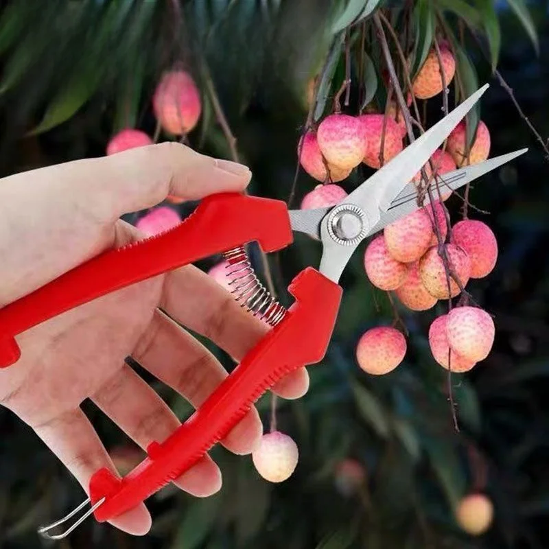 Pruning Scissors Gardening Tools for Orchard Fruit Thinning Branch Cutting Scissors for Landscape Fruit Harvesting Pruning Scissors Gardening Tools for Orchard Fruit Thinning Branch Cutting Scissors for Landscape Fruit Harvesting