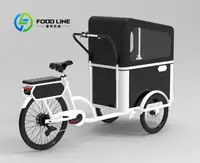 Vélo cargo à pédale électrique à 3 roues avec moteur arrière pour transporter des vélos électriques pour animaux de compagnie 4