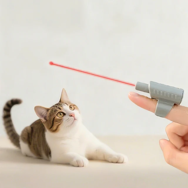 No Battery Included Infrared Ring Laser Cat Toy Cat Teasing Stick Chasing Games Having Fun Sight Pointer Laser Pen 4