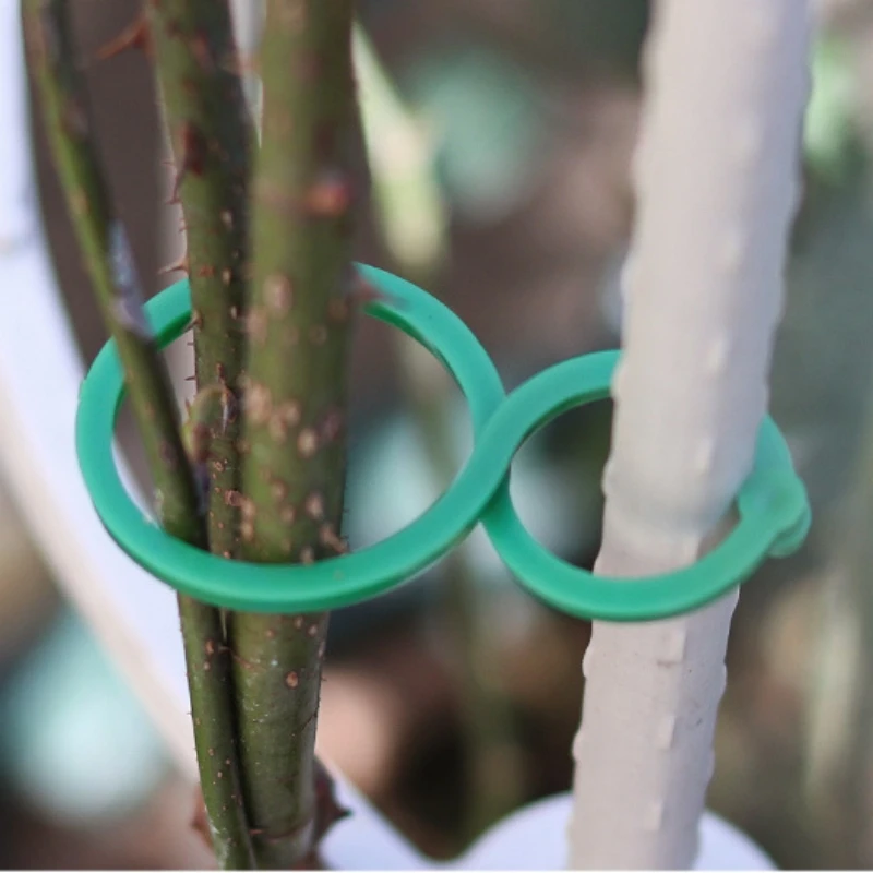 Plastic Garden Vine Strapping Clips Tie Plant Bundled Buckle Ring Holder Garden Tomato Plants Stand Support Tool 50/100Pcs