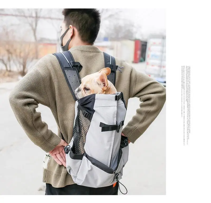 Sac à dos de voyage chic pour chien : tous les tailles