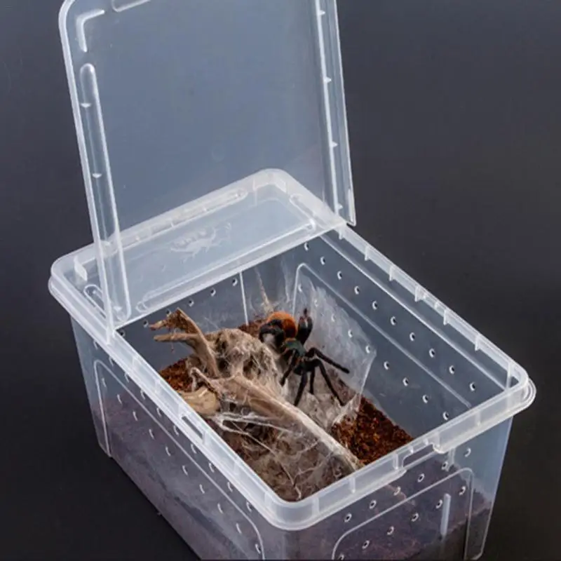 Transporting Gecko Bamboo Bird Cage Breeding Box Feeding Case Reptile Transport Gecko ...